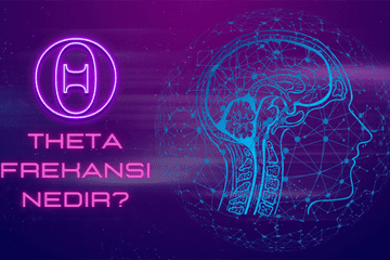 İnsan kafaı ve beyni grafiği Theta Frekansı Nedir Yazısı