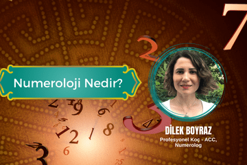 Uçuşan rakamlar ve yazar Dilek Boyraz