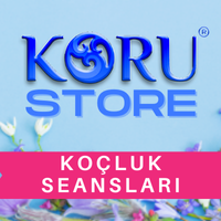 Koçluk Seansları